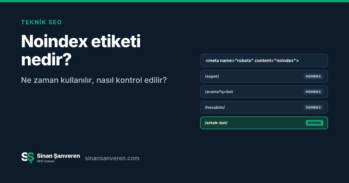 Noindex verilen ve dizinde kalan sayfa örnekleri
